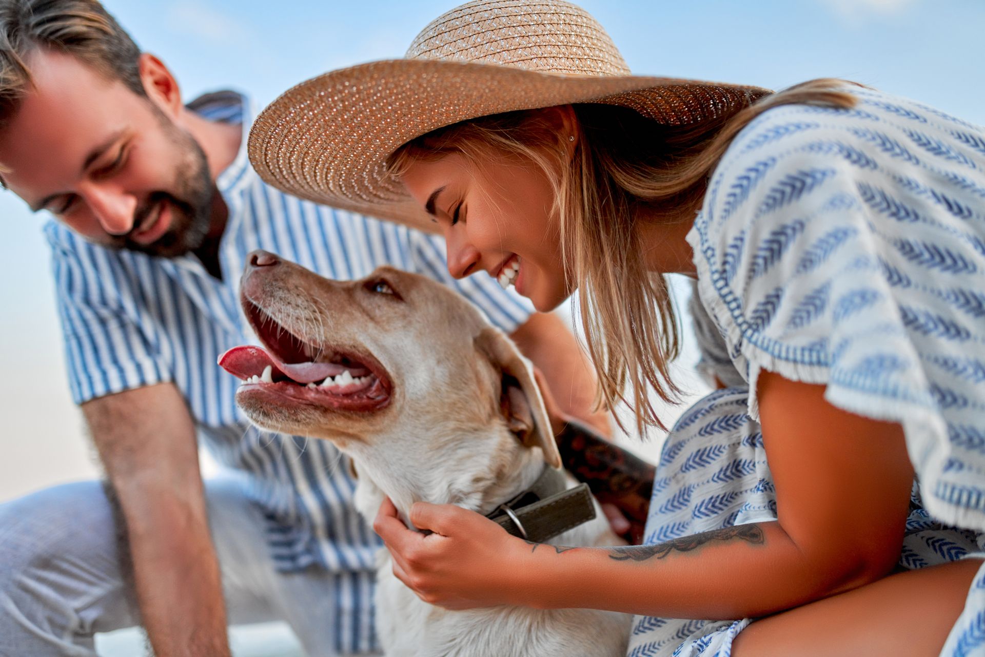 Couple enjoying time outdoors with their dog in a lush green park